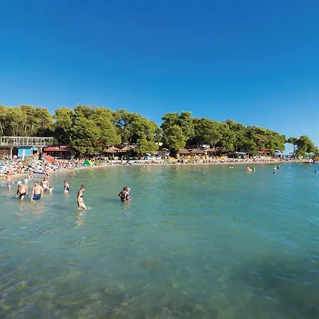 Lägenhet Gorgeous In With Wifi